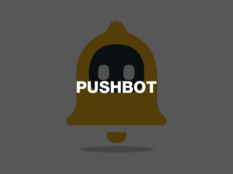 PushBot — Shopify App Development project screenshot